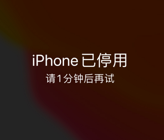 兴平苹果手机维修分享:iPhone 显示“不可用”或“已停用”怎么办？还能保留数据吗？ 