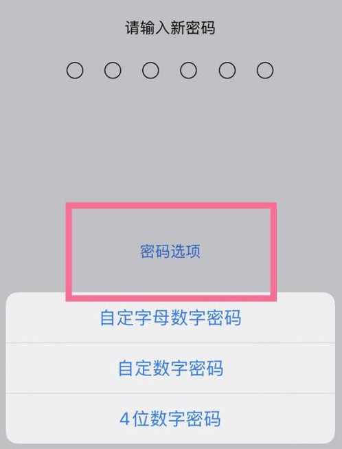 兴平苹果14维修分享iPhone 14plus设置密码的方法 